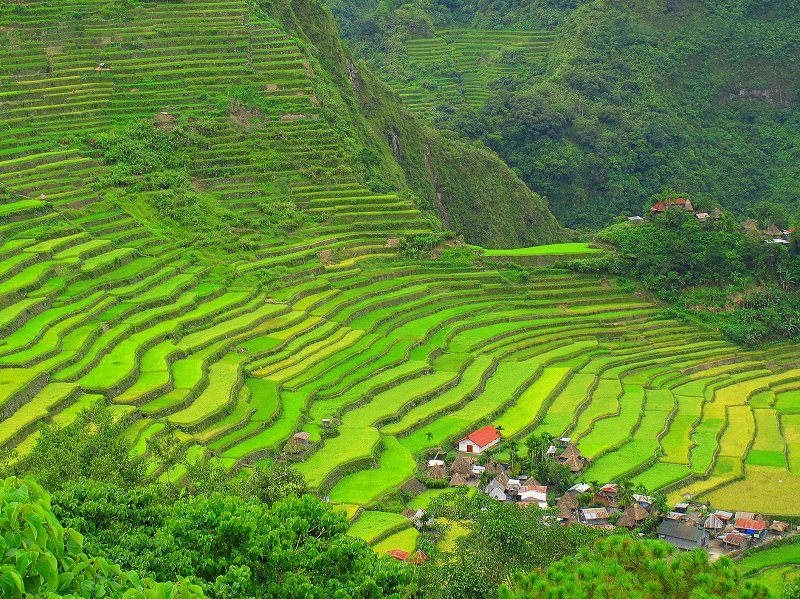 Batad Rice Terraces of the Philippines, Inspiration for Terraced Rock Walls