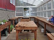 Greenhouse Interior with Redwood Benches, March 28, 2010