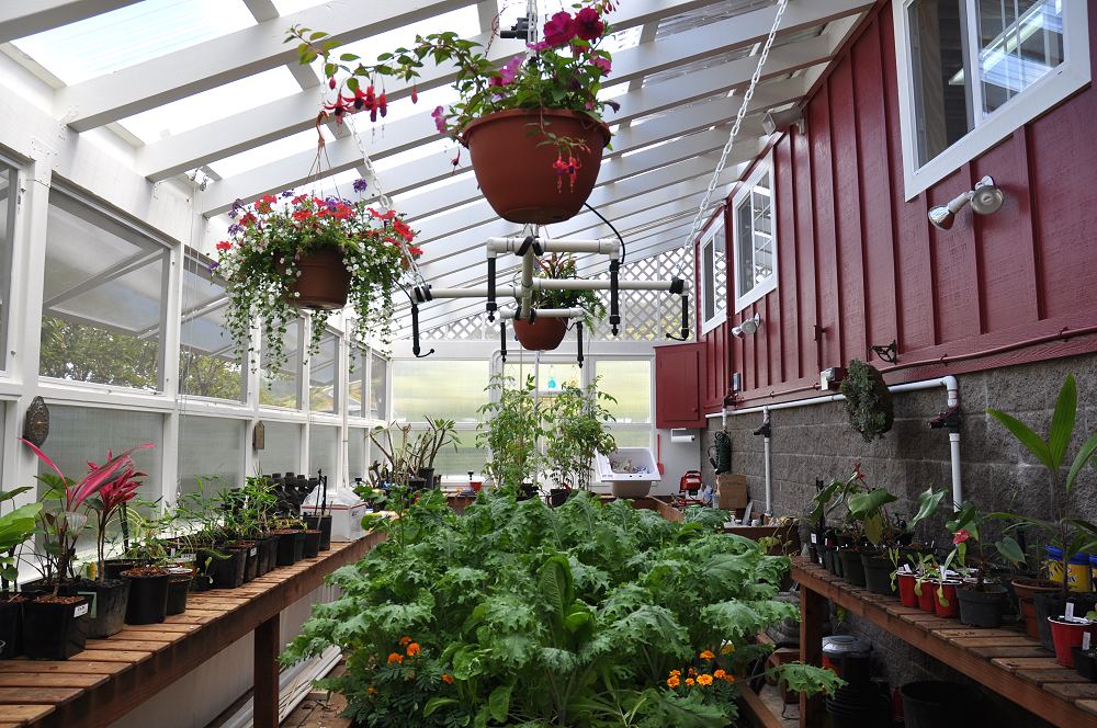 Greenhouse with Plants