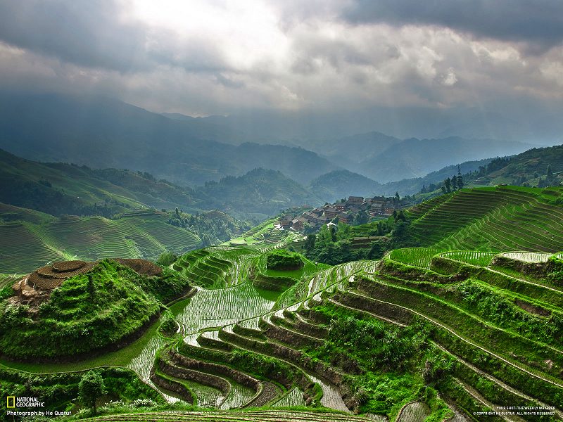 terraces in china. LongJi Terrace, Guilin, China