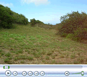 Video of Lower Clearing (June, 2007)