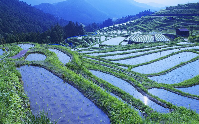 Inspiration for Terraced Rock Walls, Mie Prefecture, Japan