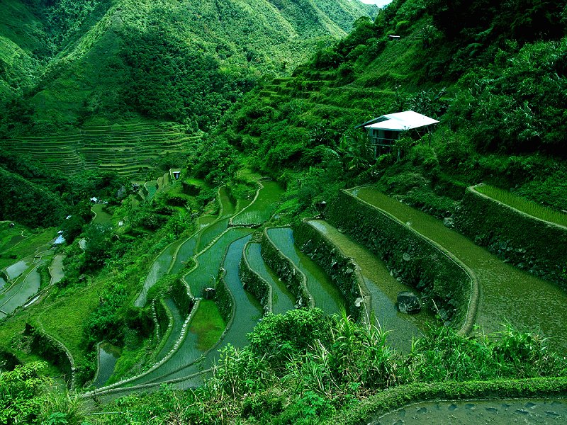 Rice Terraces of the Philippine Cordilleras, Inspiration for Terraced Rock Walls