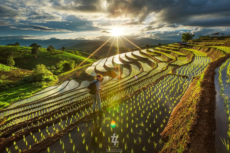 Inspiration for Terraced Rock Walls, Rice Terraces near Chiang Mai, Thailand