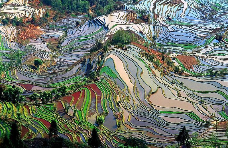 Inspiration for Terraced Rock Walls, Yunnan, China