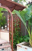 Rear Right Arbor with Grape Ivy