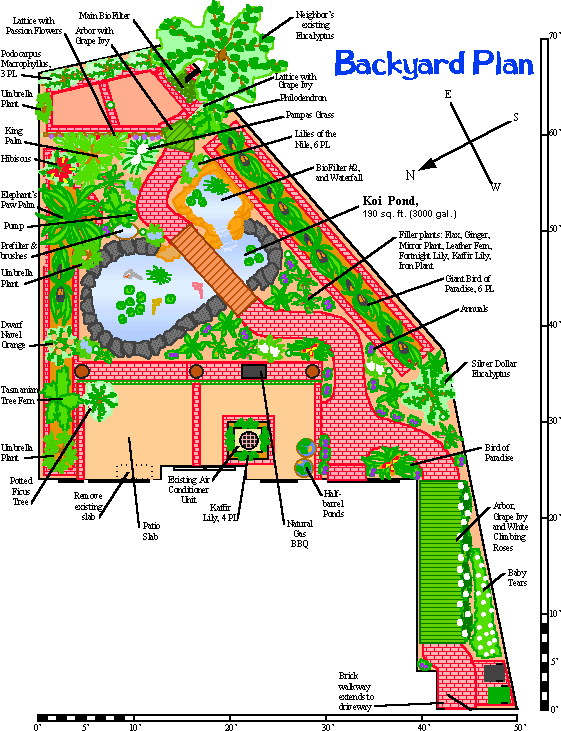 Backyard Plan